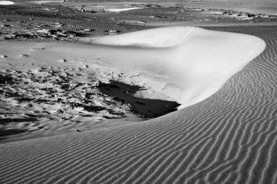 Dunes #16