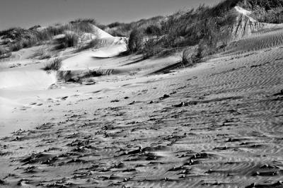 Dunes #23 -- Finis