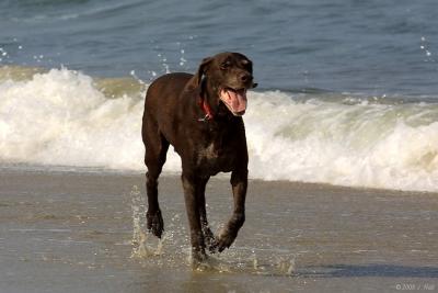 OBX 2005