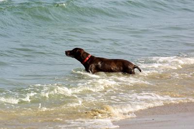 OBX 2005