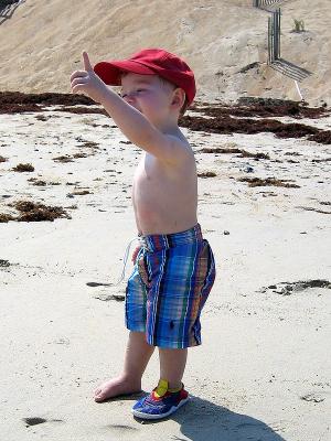 img_2670_std.jpg