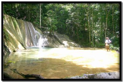 Trinidad Rain Forest