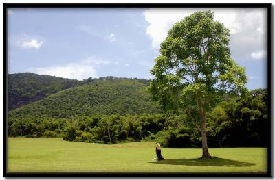 Chaguaramas Golf Course