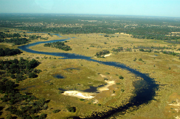 Chief's Island, Moremi Game Reserve, Okavango Delta, Botswana