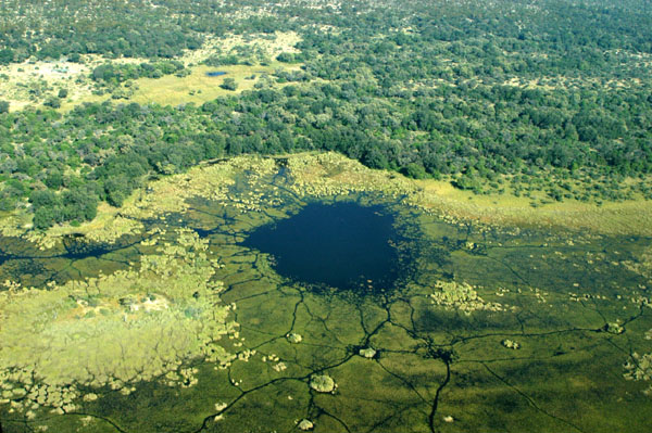 Okavango Delta