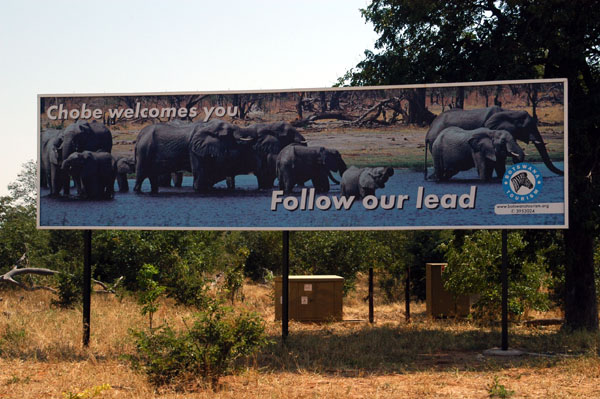 Chobe Welcomes You!