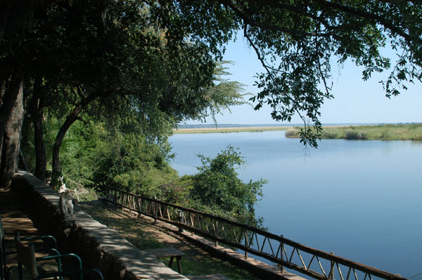 Riverfront at the Chobe Safari Lodge, Kasane, Botswana