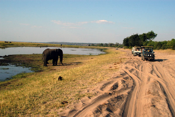 Sandy track along the Chobe River