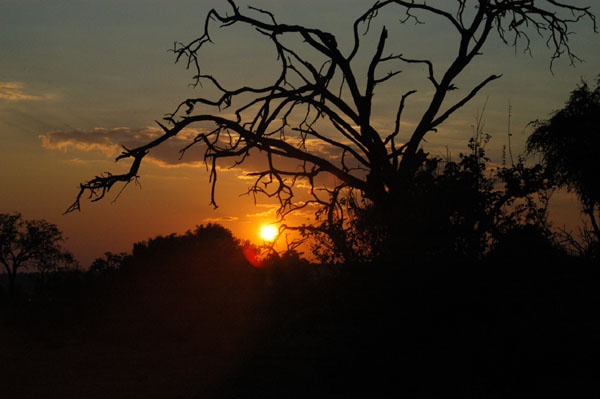 Sunrise at Chobe