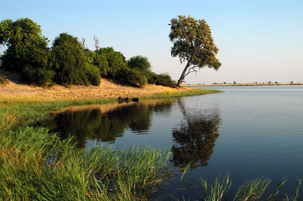 Morning along the Chobe River