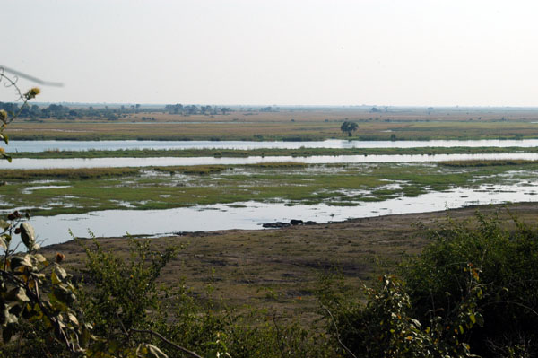 Looking across the Chobe River to the Caprivi Strip, Namibia