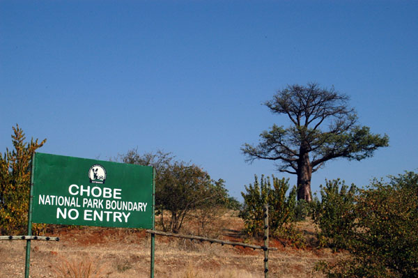 Chobe National Park boundary fence