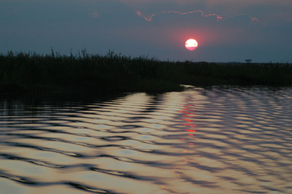 Wake patterns at sunset, Chobe