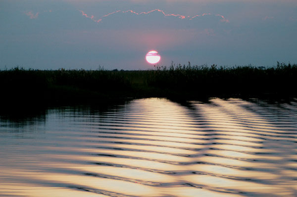 Wake patterns at sunset, Chobe