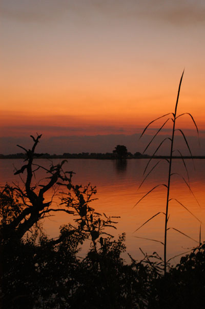 View from the bar of the Chobe Safari Lodge