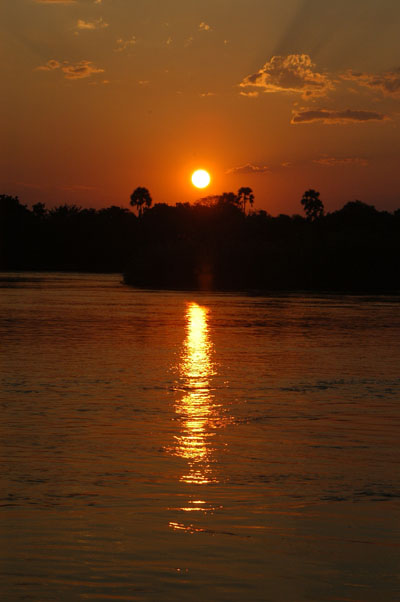 Zambezi sunset