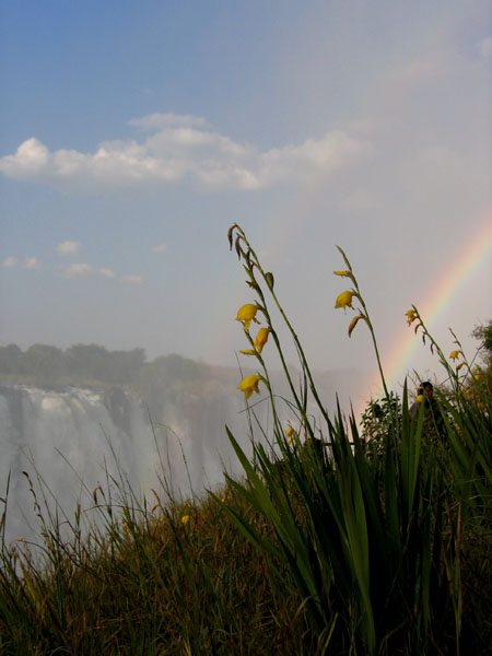 Victoria Falls