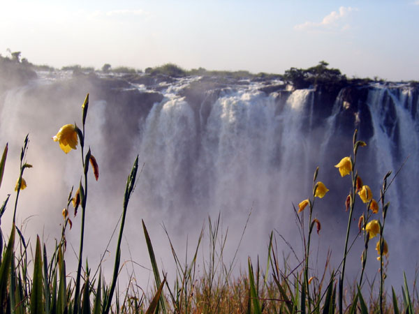 Victoria Falls