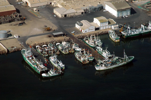 Fishing fleet at Walvis Bay