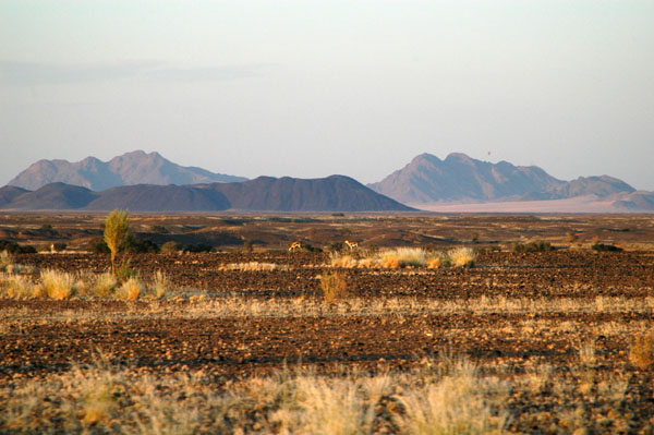 We got an early start for the drive to Sossusvlei to hike the dunes before it got too hot