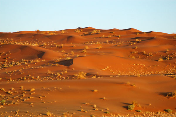 Namib-Naukluft National Park