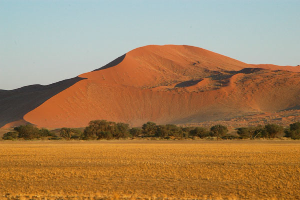 The road is lined with huge red dunes