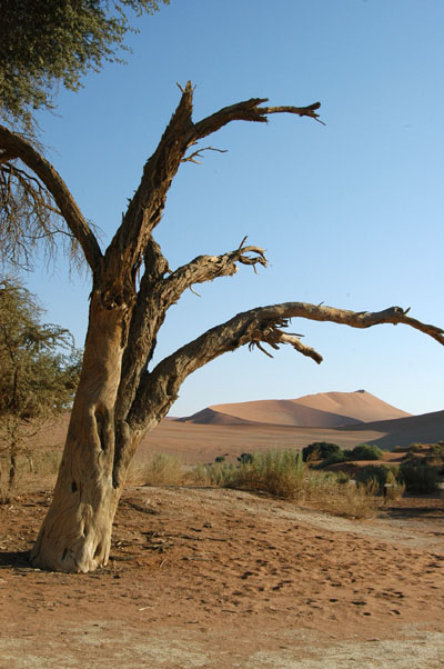 Sossusvlei