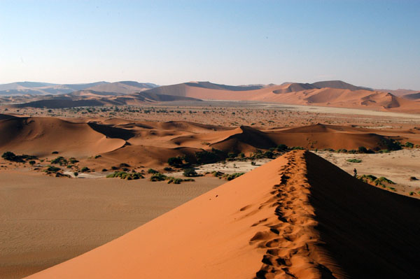 Dune ridge above Sossusvlei