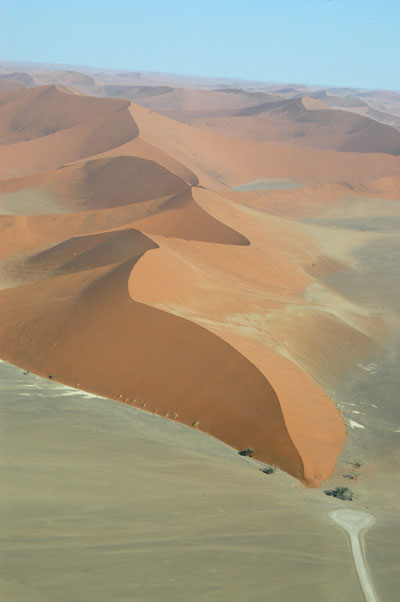 Dune 45
