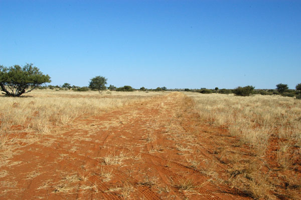 The runway at Ellingerode, a farm 100 miles SE of Windhoek