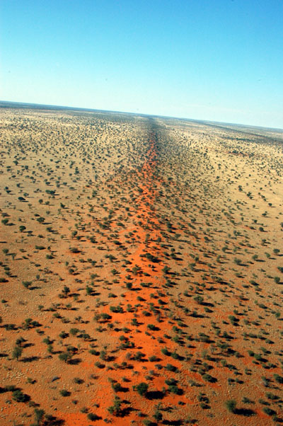 One of the dunes passing through Oliphantwater