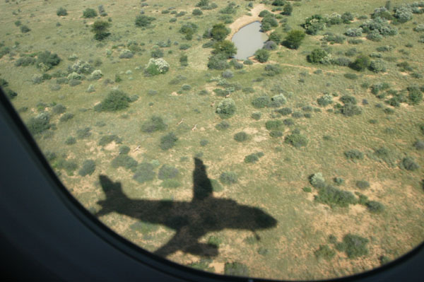 Wildlife running from our 319 landing at Windhoek