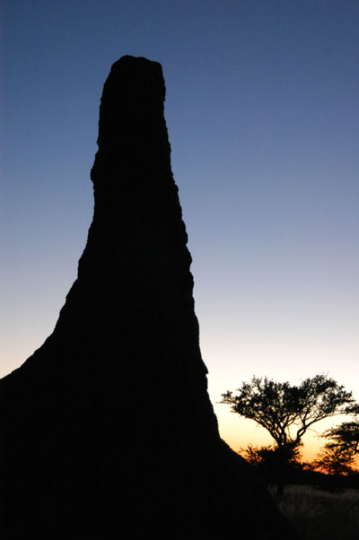 Termite mound