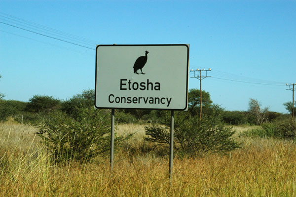 The Etosha Conservancy begins well south of the National Park