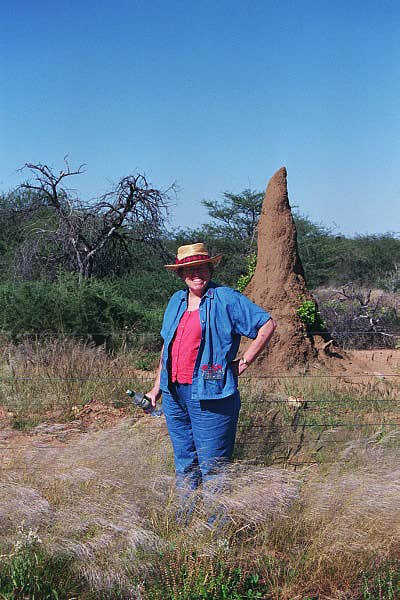 Mom with a termite mound