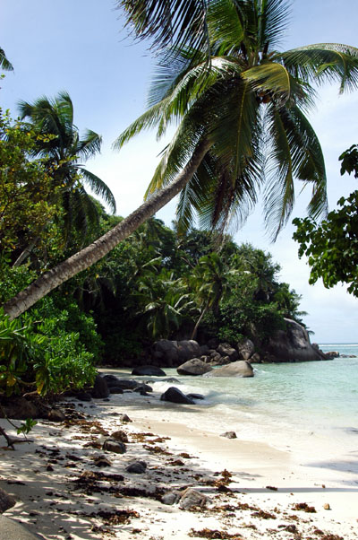 Anse Royale, Mah Island