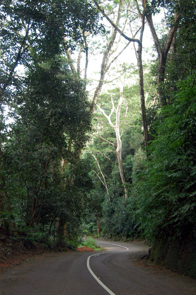 Chemin Fort Noire