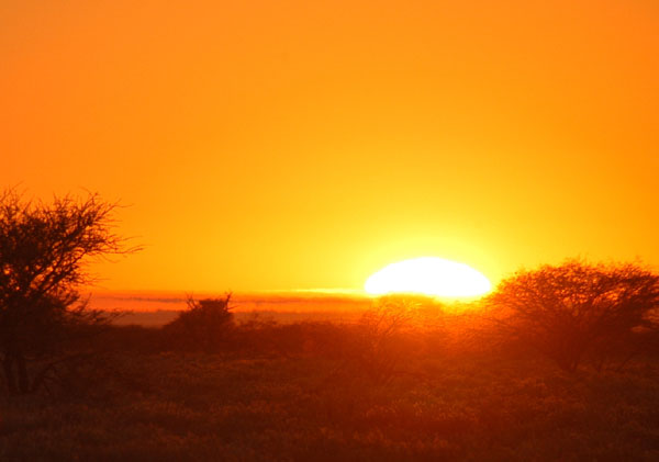 Sunrise, day 2, Etosha National Park