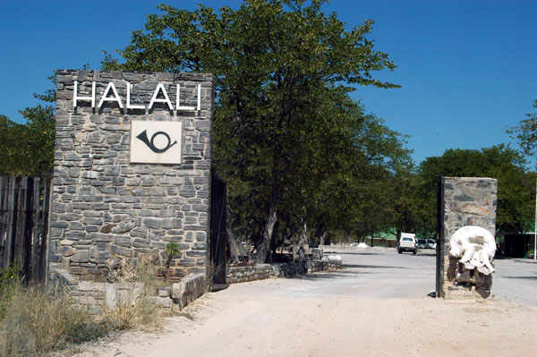 Halali rest camp lies midway between Okaukuejo in the west and Namutoni in the east