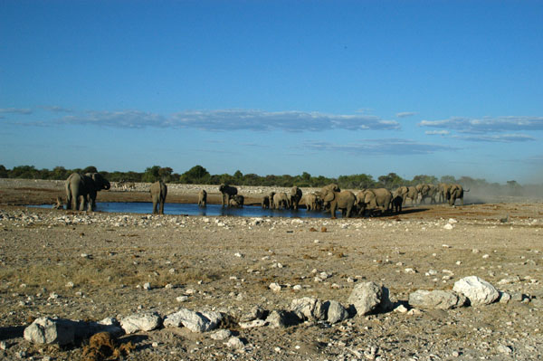Klein Namutoni waterhole