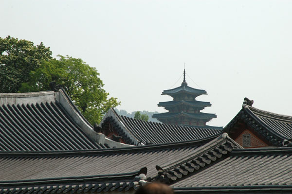 Rooftops of Gyeongbokgung Palace