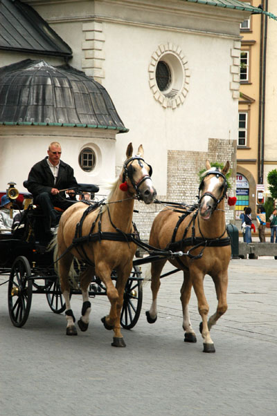 Horse drawn carriage, St. Adalbert's Church