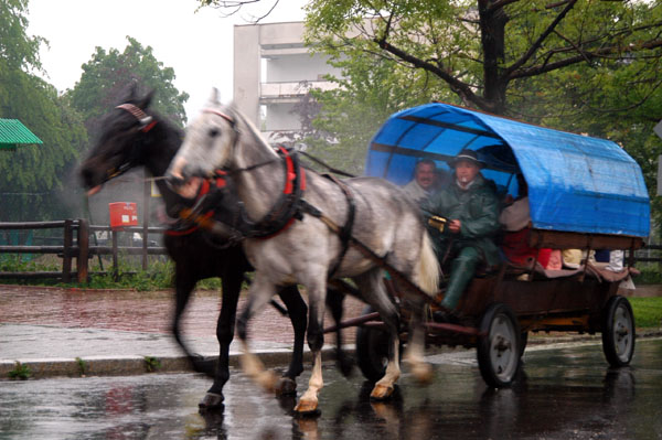 Wagon with 2 horses in the rain at Zakopane