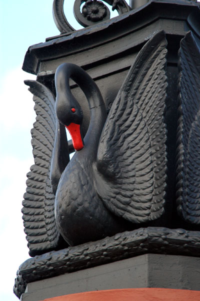 Perth's symbol-the Black Swan