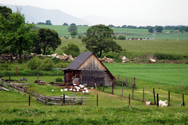 Farmland at the base of the Tatras
