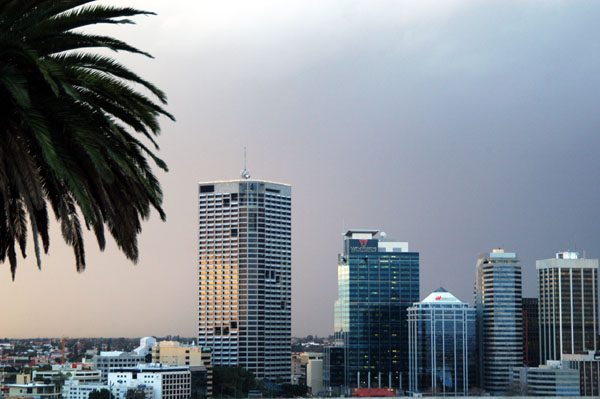 Perth from Kings Park