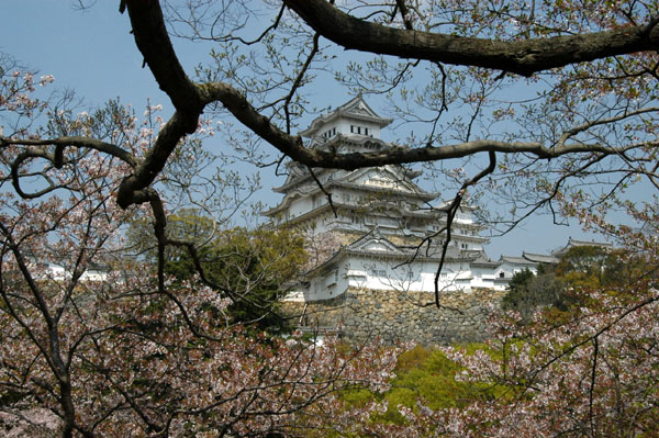 Himeji Castle through some trees