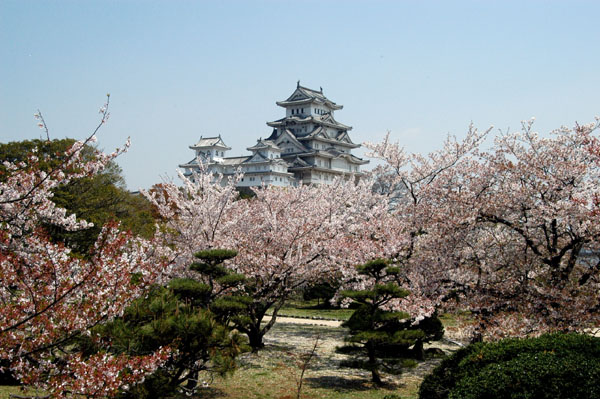 Himeji Castle and the West Bailey with cherry blossoms