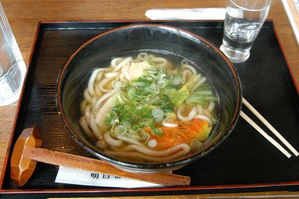 Japanese udon noodles