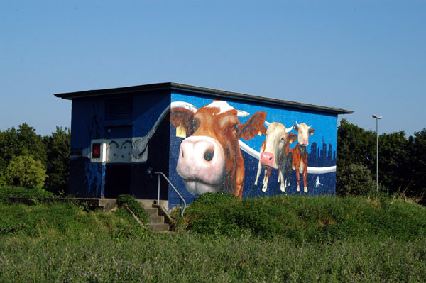 Cow on a Shed